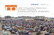ulti-Cluster/Sector Initial Rapid Assessment (MIRA) · Multi Cluster/Sector Initial Rapid Assessment (MIRA) UN Office for the Coordination of Humanitarian Affairs Palais des Nations