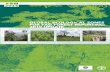 Global ecological Zones for FAO forest reporting: 2010 update · FOR FAO FOREST REPORTING: 2010 UPdATE November, 2012 Forest resources Assessment Working Paper 179. FOOD AND AGRICULTURE