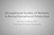 Occupational Studies of Workers in Pentachlorophenol ... · Occupational Studies of Workers in Pentachlorophenol Production ... and sawmill – Most cases of ... we find no other