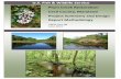 U.S. Fish & Wildlife Service Plum Creek Restoration …€¦ · U.S. Fish & Wildlife Service. Plum Creek Restoration . Cecil County, Maryland. Project Summary and Design Report Methodology.