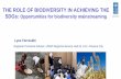 THE ROLE OF BIODIVERSITY IN ACHIEVING THE - … · THE ROLE OF BIODIVERSITY IN ACHIEVING THE SDGs: Opportunities for biodiversity mainstreaming ROLE OF BIODIVERSITY IN ACHIEVING THE