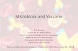 Microbiota and Vaccines · Microbiota and Vaccines Eric Brown Lab of Dr. B. Brett Finlay . Dept. of Microbiology and Immunology . Michael Smith Laboratories . University of British