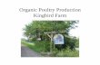 Organic Poultry Production Kingbird Farm · Organic Poultry Production ... pecking on ground, fresh air, & direct ... for for type of bird. NOFA-NY guidelines specific to poultry