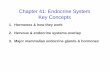 Chapter 41: Endocrine System Key Conceptsbio.classes.ucsc.edu/bio20b/Notes/Chapter41 Hormones Notes.pdf · 1. Hormones & how they work 2. Nervous & endocrine systems overlap Chapter