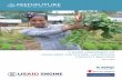 A RAPID ASSESSMENT OF USAID FEED THE … · ETS Effective Teaching Skills FGD Focus Group Discussion FTC Farmer Training Center ... USAID with clear recommendations that will result