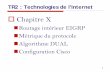 Routage intérieur EIGRP Métrique du protocole …demay.iut.lr.free.fr/doc/2A/Reseaux/TR2 - Technologies Internet... · Protocole de routage intérieur IGRP ... une action de routage