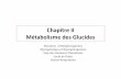 Chapitre II Métabolisme des Glucidesdata.over-blog-kiwi.com/0/49/92/85/201303/ob_5f5dd63734ae... · – la glycolyse aérobie – la glycolyse anaérobie Introduction • Au cours