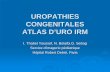 UROPATHIES CONGENITALES ATLAS D’URO IRMpe.sfrnet.org/Data/ModuleConsultationPoster/pdf/2006/1/224fcd87-92... · UROPATHIES CONGENITALES ATLAS D’URO IRM I. Thabet Youssef, N. Belarbi,G.