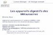 Les appareils digestifs des Métazoairesefisio.online.fr/ensenhament11/DOV/a-digestifs.pdf · position du problème besoins énergétiques et anaboliques →besoins énergétiques