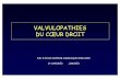 Valvulopathies Coeur droit - echowebline.com · - Pic de vitesse protosystolique : pressions OD élevées - Pic de vitesse télésystolique : dysfonction VD - Vmax du flux d ’IT-->