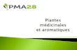 La production de plantes aromatiques et médicinales · cultive des plantes médicinales et aromatiques destinées aux industries pharmaceutiques, cosmétiques et alimentaires. ...
