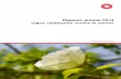 Rapport annuel 2014 Ligue valaisanne contre le cancerassets.krebsliga.ch/downloads/lvcc_rapport_14_fr.pdf · Rapport annuel 2014 Ligue valaisanne contre le cancer Unis contre le cancer.