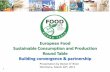 European Food Sustainable Consumption and Production Round ... · PDF fileEuropean Food Sustainable Consumption and Production Round Table Building convergence & partnership 1 Presentation