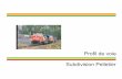 Profil de voie 5500 Subdivision Pelletier 8 - tcrc162.com · RHÉOSTATIQUE FREINAGE AUTOMATIQUE Toutes les dispositions du Règlement d’Exploitation Ferroviaire, des Instructions