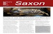 Published by The Sutton Hoo Society No. 60 January …suttonhoo.org/wp-content/uploads/2016/02/Saxon60.pdf · The Lakenheath Warrior, with sword, shield boss and horse, lies in its