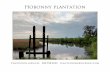 Hobonny plantation Brochure.pdf · Hobonny Plantation 825.9 Acres in Beaufort County South Carolina Hobonny is an original rice plantation located between Charleston, South Carolina