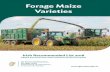 Forage Maize Varieties - agriculture.gov.ie · Forage Maize Varieties Irish Recommended List 2018 CROPS EVALUATION AND CERTIFICATION DIVISION ..