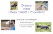 Dresser votre chien d’arrêt Polyvalentlepolyvalent.ca/.../uploads/2013/05/PresentationClin_DresserChien.pdf · Dresser votre Chien darrêt ... • À savoir: Bon ou Mauvais ...