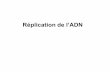 Réplication de l’ADNwalidou.free.fr/Replication-Transcription.pdf · et du mécanisme de la réplication: in vitro. ... Principe du gène rapporteur Analyse de l’expression ...