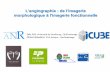 L'angiographie : de l'imagerie morphologique à …lomn/Workshop/pdf25June/... · 2015-07-25 · Techniques d’exploration de la vascularisation en IRM ... Angiographie dynamique