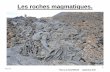 Les roches magmatiques - GEOLOGIE RANDONNEURS roches magmatiques.pdf · (diagramme de Harker-Cox). Classification minéralogique. « Guide des volcans de France » P. Richet brgméditions