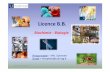 Licence BB 2010 - univ-ag.fr BB_2010.pdf · -Biologie cellulaire = les composants de la cellule eucaryote, membrane, cytosquelette, jonction, mitochondrie, chloroplaste, noyau -Géologie-Evolution
