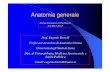 Prof. Eugenio Bertelli Professore associato di Anatomia ... · Anatomia generale Corso di Laurea in Farmacia AA 2011-2012 Prof. Eugenio Bertelli Professore associato di Anatomia Umana