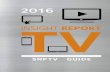 INSIGHT REPORT - SNPTV · 2 TV 2016: INSIGHT REPORT BROADCASTING ENVIRONMENT national channels available ... PLANÈTE Groupe Canal + Licensed channels Declared channels 2 RIVES TV