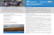 WFP Mozambique · analysis on food insecurity made available by the Famine Early Warning Systems Network (FEWS NET), activities of other Food Security Cluster partners as well as