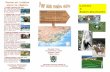 VELORAIL DE LA STE-BAUME – Pourcieux 83470 – (25 km Barben ... · VELORAIL DE LA STE-BAUME – Pourcieux 83470 – (25 km Barben invite à s'évader dans un parc espèces différentes