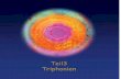 Teil3 Triphonien - neunercode.comneunercode.com/Shop/Buecher/Leseproben/Triphonie/4Triphonien.pdf · Dieser individuelle Dreiklang ergibt sich aus dem Zeitpunkt unserer Geburt. ...