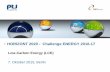 Low-Carbon Energy (LCE) - nks-energie.de · HORIZONT 2020 - Challenge ENERGY 2016- 17 . Low-Carbon Energy (LCE) 7. Oktober 2015, Berlin