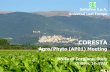 Deltafina S.p.A. Universal Leaf Europe - CORESTA … and proprietary. Not to be distributed without Universal approval. Deltafina S.p.A. Universal Leaf Europe CORESTA Agro/Phyto (AP01)