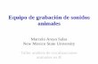 Equipo de grabación de sonidos animales · Equipo de grabación de sonidos animales Marcelo Araya Salas ... •Características ideales –Control de volumen de grabación –Medidor