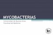 MYCOBACTERIAS - fmed.uba.ar .COMPLEJO Mycobacterium tuberculosis Mycobacterium tuberculosis Mycobacterium