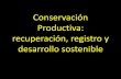 Conservación Productiva: recuperación, registro y ... · desarrollo sostenible. 1. Asistencia técnica para el mejoramiento de cultivos: ... conservación productiva: artesanías,