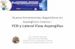 Nuevas herramientas diagnósticas en Aspergilosis invasiva ... · Nuevas herramientas diagnósticas en Aspergilosis invasiva : PCR y Lateral Flow Aspergillus Dra. Paulette Legarraga