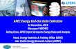 APEC Energy End-Use Data Collection · APEC Energy Working Group (APEC EWG) 3 •APEC Energy Working Group (EWG), as one of the 15 working groups under the APEC umbrella, was established