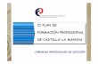II PLAN DE FORMACIÓN PROFESIONAL DE CASTILLA-LA MANCHAempleoyformacion.jccm.es/fileadmin/user_upload/... · fp en el sistema educativo catÁlogo nacinal de las cualificaciones certificado