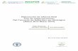 Elaboración de Informe Final Plan de Implementación … Taller: Elaboración Informe Final Plan Implementación del Convenio de Rotterdam en Nicaragua (Marzo 2013 a Marzo 2014).