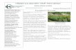 Chippewa Garden Club Newsletter · Sandy Ladebue ... Chippewa Garden Club Year in Review. This is a PowerPoint presentation highlighting every- ... Chippewa Garden Club Newsletter