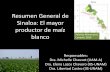 Resumen General de Sinaloa: El mayor productor de … · 2015-06-19 · Características de la producción maicera en llanuras costeras de Sinaloa •Ciclo Otoño-Invierno •Maíz