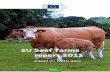 EU beef farms report 2012 - European Commissionec.europa.eu/agriculture/rica/pdf/beef_report_2012.pdf · EU beef farms report 2012 2 Figure 2: Gross Margin, EU-All, type of production,