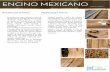 EncinoMexicano - Pisos de madera · encino mexicano resistenciaa compresiÔn paralela chio-15 [n/mm2] resistenciaa flexiÓn chio-15 [n/mm2] mÓdulo de elasticidad (flexiÓn) cizallamiento