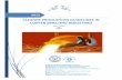 CLEANER PRODUCTION GUIDELINES IN COPPER SMELTING .CLEANER PRODUCTION GUIDELINES IN COPPER SMELTING