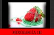 MIXOLOGÍA III - emcebar.s3.amazonaws.comemcebar.s3.amazonaws.com/pdfs/Bares-Coctelería-Mixología... · La técnica para hacer Falsos Espaguetis consiste en moldear una gelatina