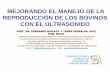 MEJORANDO EL MANEJO DE LA REPRODUCCIÓN DE LOS BOVINOS …€¦ · reproducciÓn de los bovinos con el ultrasonido prof. dr. fernando hidalgo y teran ... diagnostico de gestacion