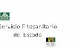 SERVICIO FITOSANITARIO DEL ESTADO - Ministerio … · contribuye al desarrollo de la agricultura sostenible y competitiva del país. ... Microsoft PowerPoint - SERVICIO FITOSANITARIO