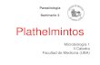 Plathelmintos - fmed.uba.ar · Platelmintos Phylum Plathelminta o gusanos planos Taenia saginata Taenia solium Hymenolepis nana Diphyllobothrium latum Echinococcus …