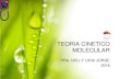 TEMA 9-TEORIA CINETICO MOLECULAR (TEMA 10 …ecaths1.s3.amazonaws.com/quimicafisicafacena/285778365.TEMA9_T… · El modelo cinético molecular del gas • La explicación fundamental